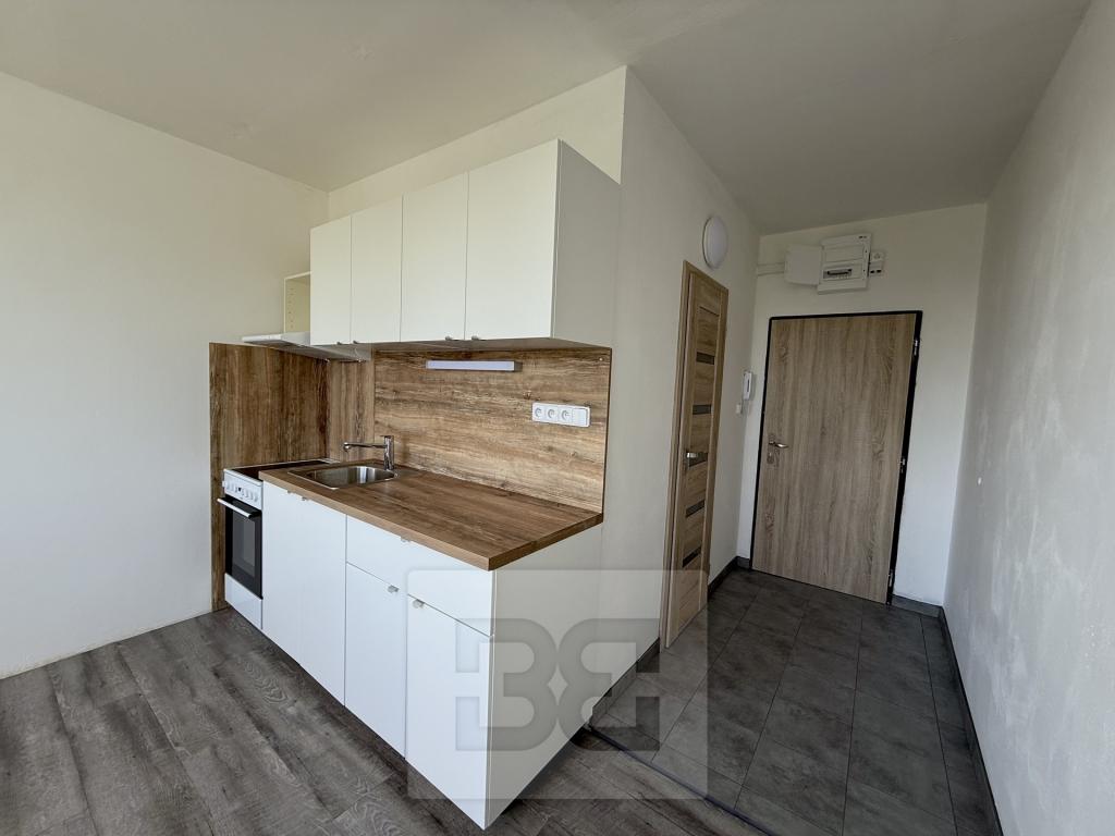 Pronájem bytu 1+1 36 m2