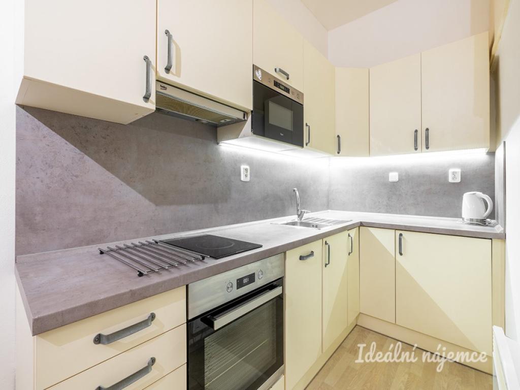 Pronájem bytu 1+1 43 m2