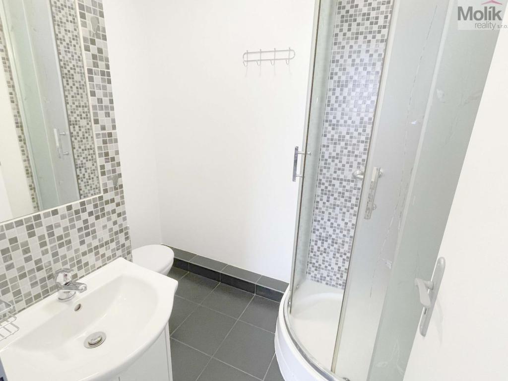Pronájem bytu 1+1 36 m2