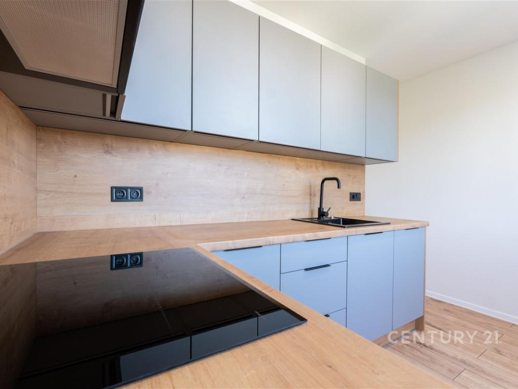 Pronájem bytu 3+1 56 m2