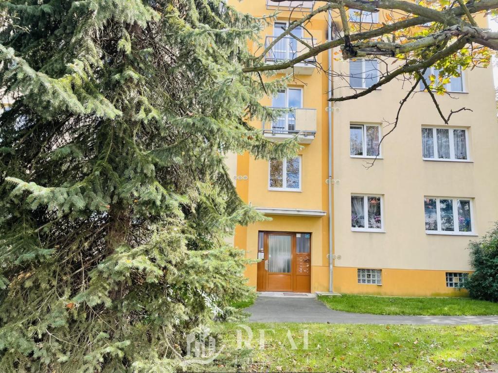 Prodej bytu 2+1 52 m2, Teplice – náhled fotky 12