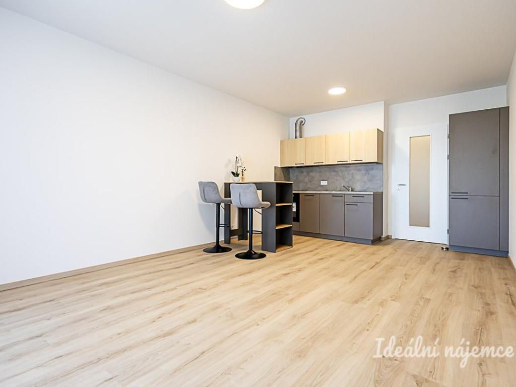 Pronájem bytu 1+kk 35 m2
