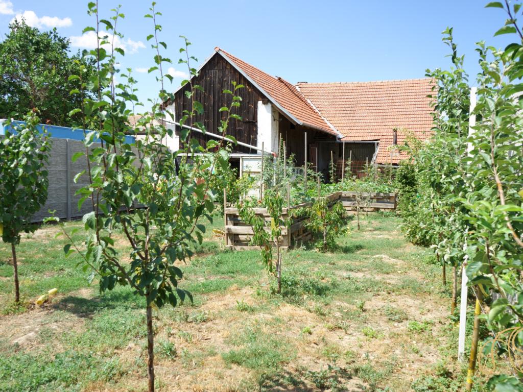 Prodej domu 188 m2, Našiměřice – náhled fotky 24
