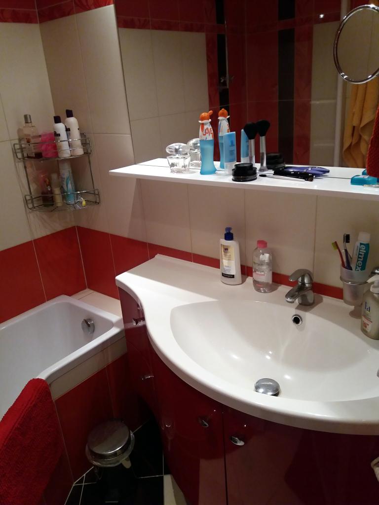 Pronajem bytu 2+1 53 m2