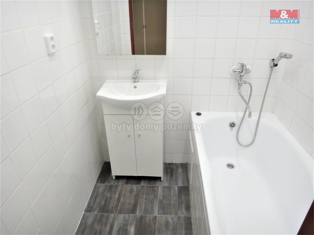 Pronajem bytu 2+1 47 m2