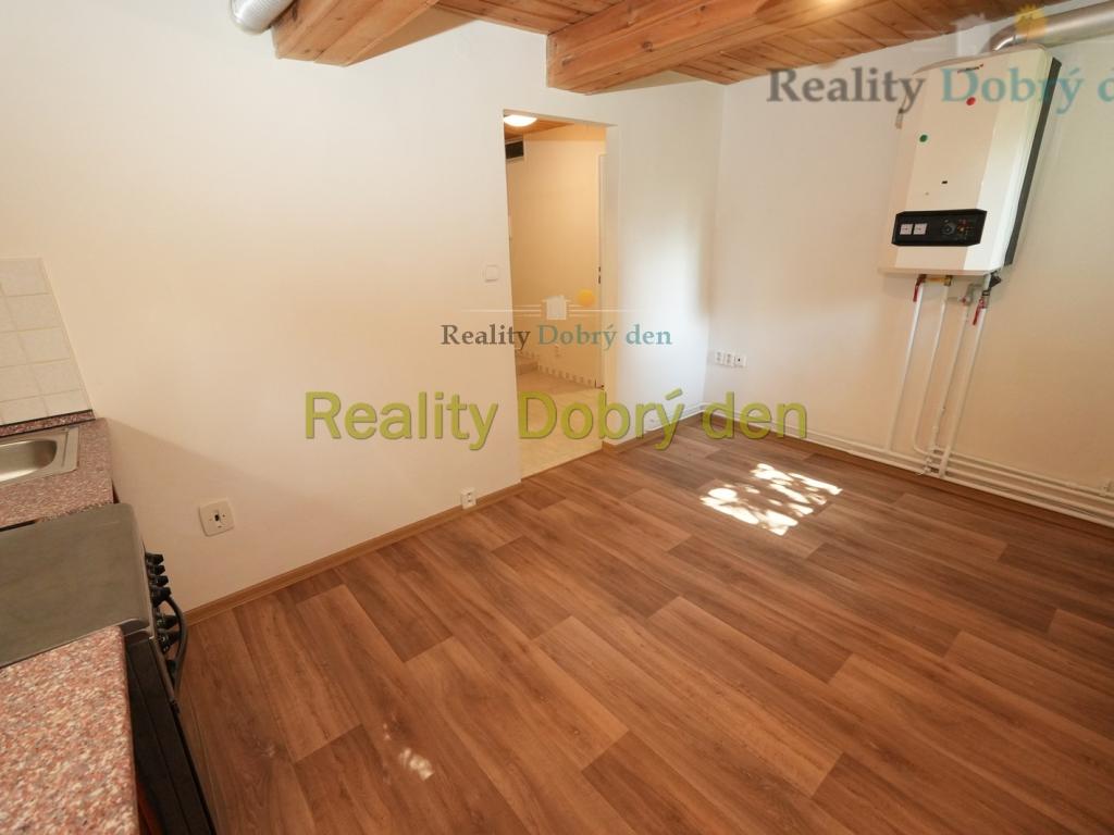 Pronájem bytu 1+1 55 m2