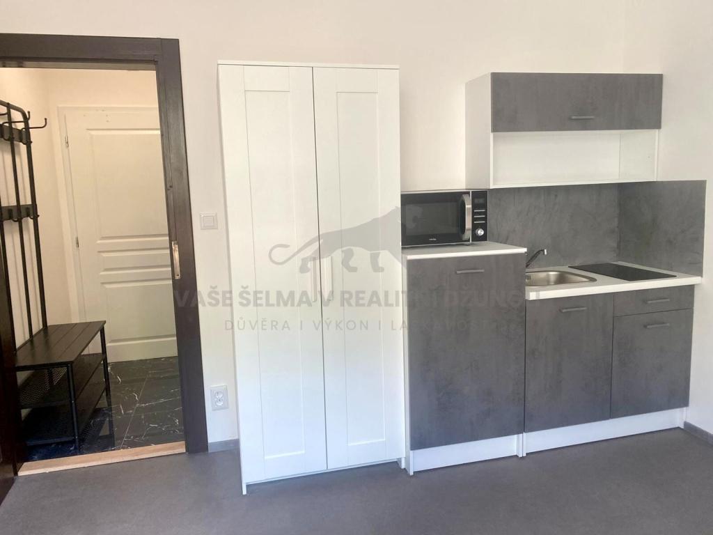 Pronájem bytu 1+kk 20 m2
