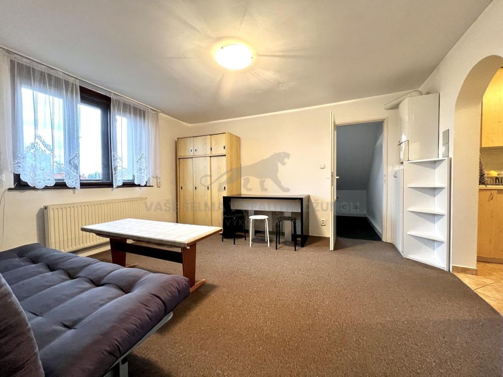 Pronájem bytu 3+1 42 m2