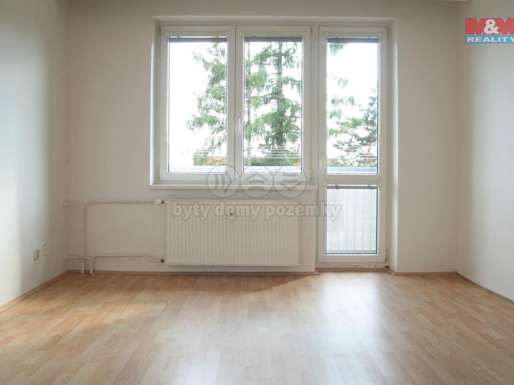 Pronajem bytu 2+1 54 m2