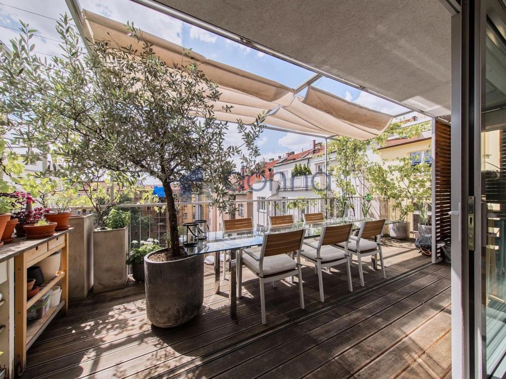 Pronájem bytu 4+kk 260 m2