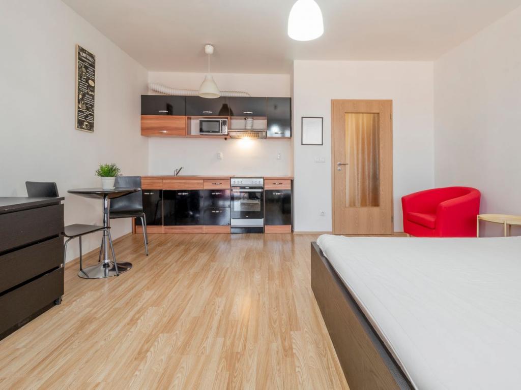 Pronajem bytu 1+kk 40 m2