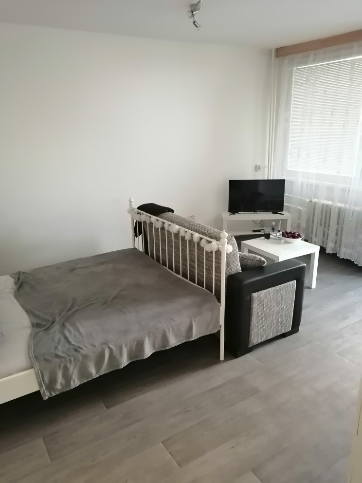 Pronajem bytu 1+kk 38 m2