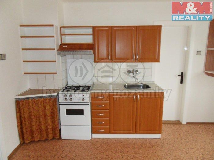 Pronajem bytu 2+1 122 m2