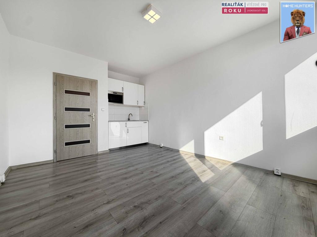 Pronájem bytu 1+kk 24 m2