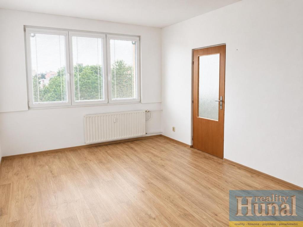 Pronájem bytu 1+1 42 m2