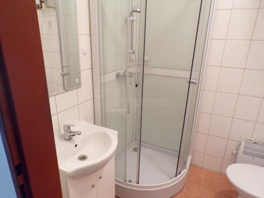 Pronájem bytu 1+kk 30 m2
