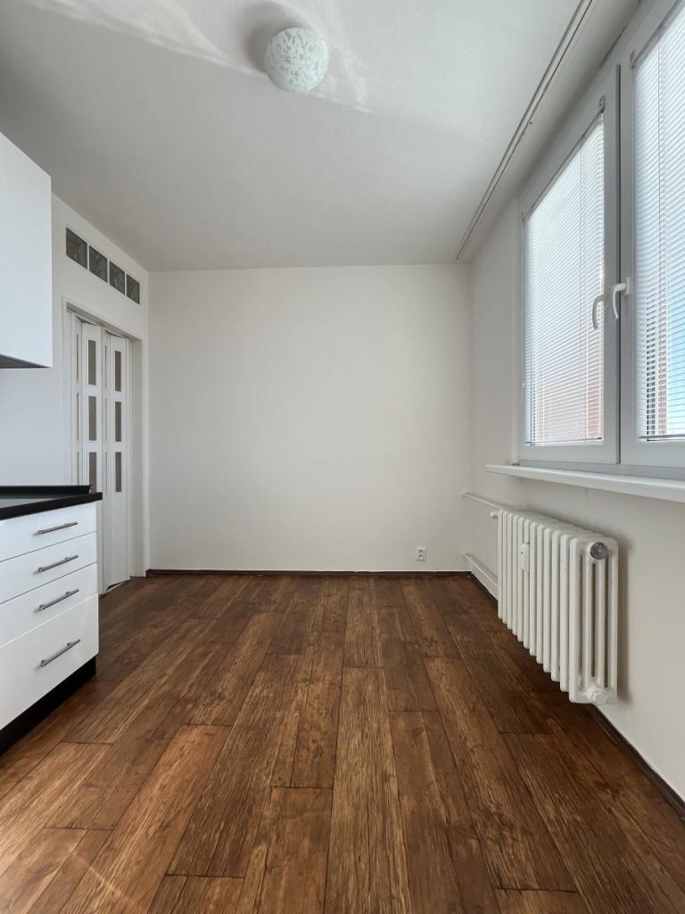 Pronájem bytu 1+1 41 m2