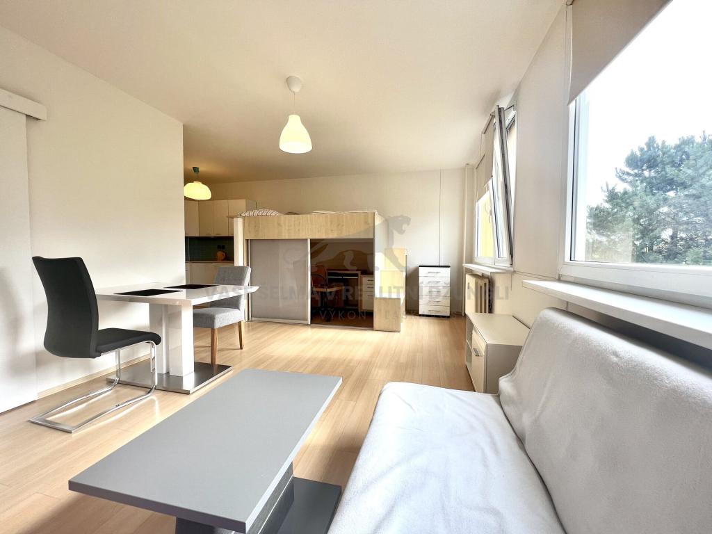 Pronájem bytu 1+kk 36 m2