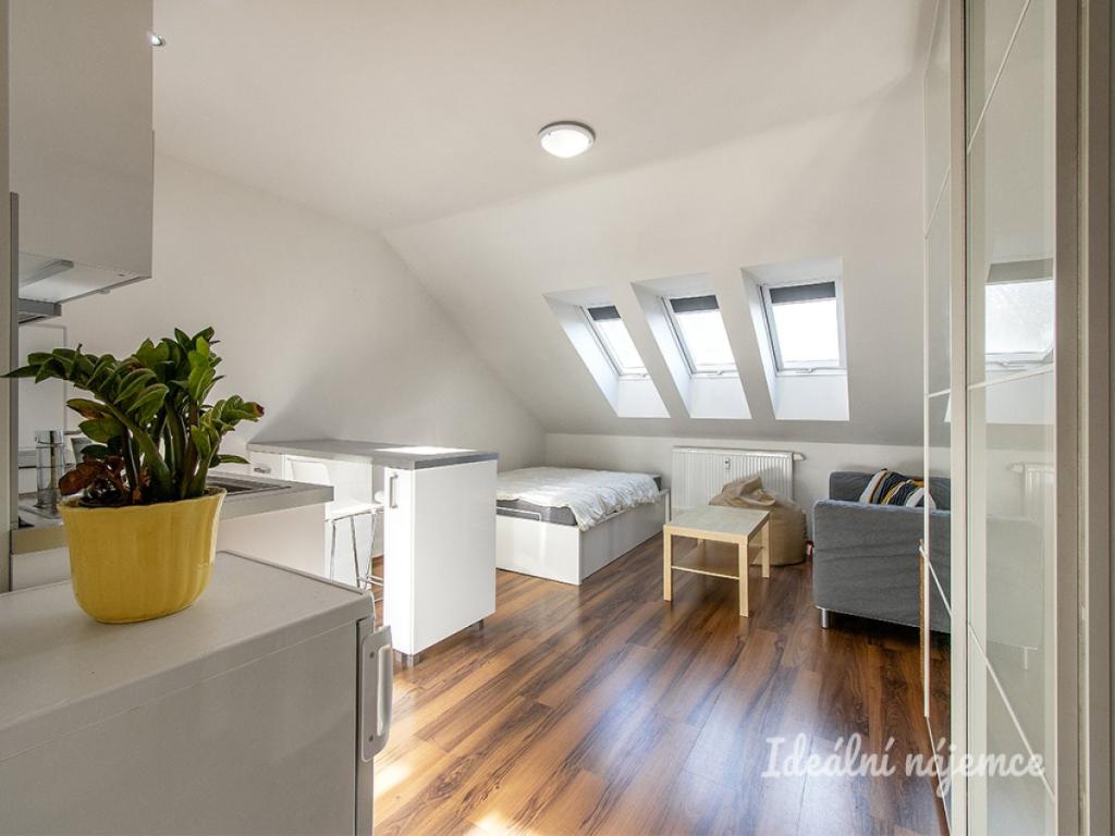 Pronájem bytu 1+kk 29 m2