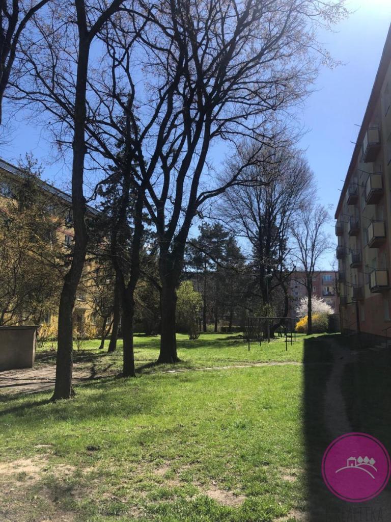 Pronájem bytu 2+1 53 m2, Olomouc – náhled fotky 14