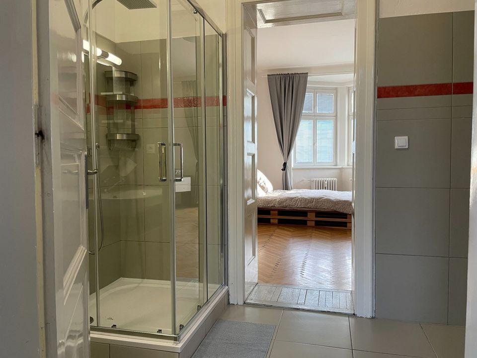 Pronájem bytu 4+1 134 m2