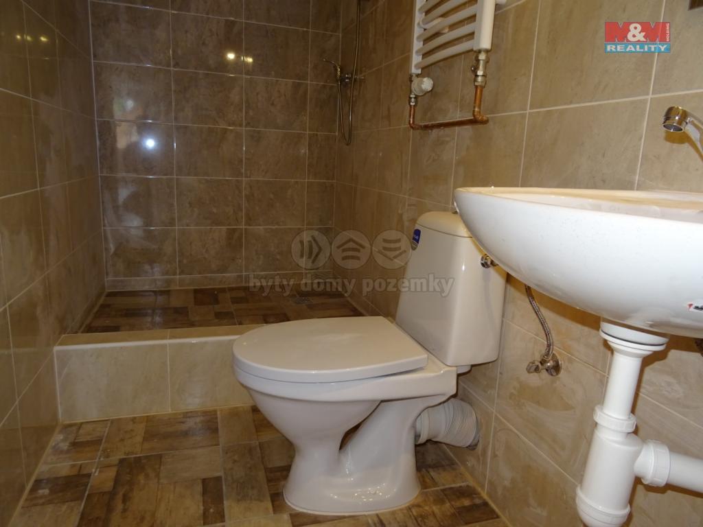 Pronajem bytu 1+1 30 m2