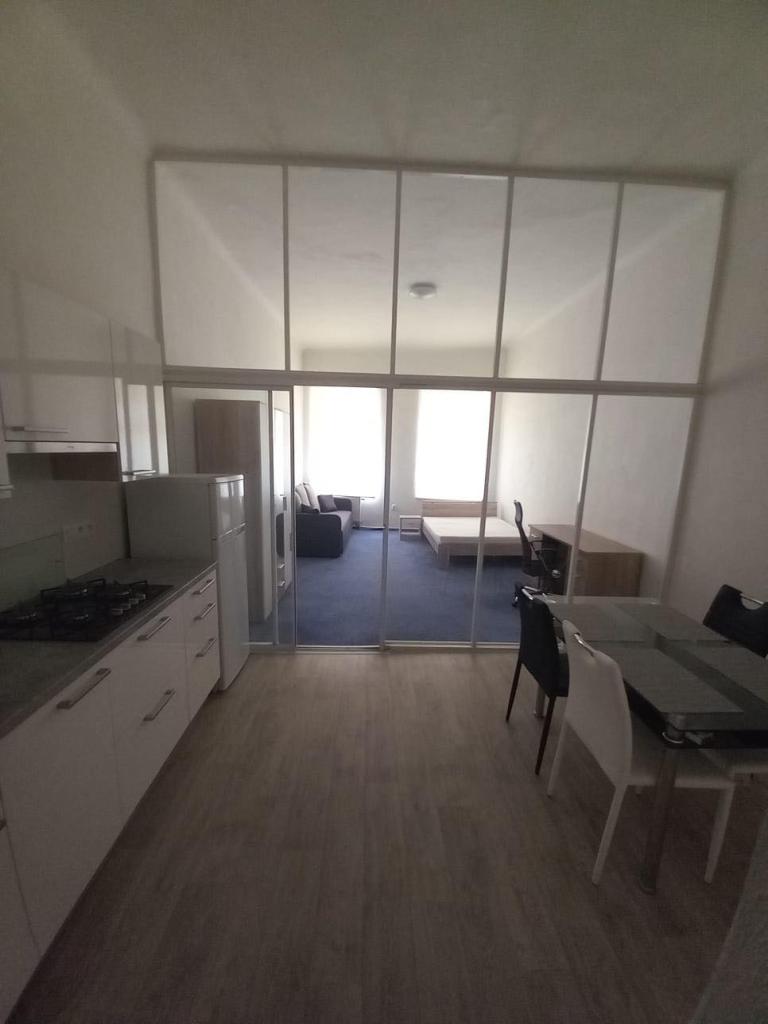 Pronajem bytu 1+kk 41 m2