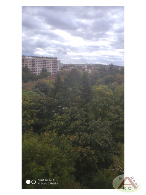 Pronájem bytu 2+kk 45 m2, Praha – náhled fotky 12