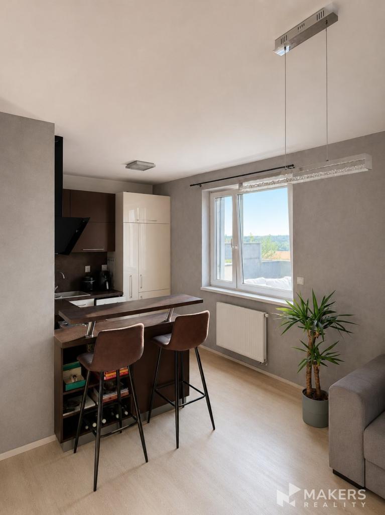 Pronájem bytu 2+kk 54 m2