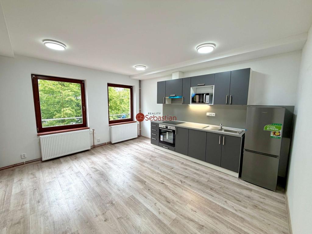 Pronájem bytu 1+kk 60 m2