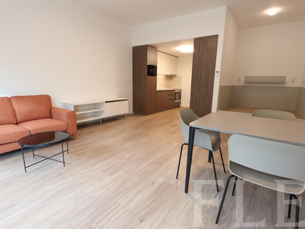 Pronájem bytu 1+kk 48 m2