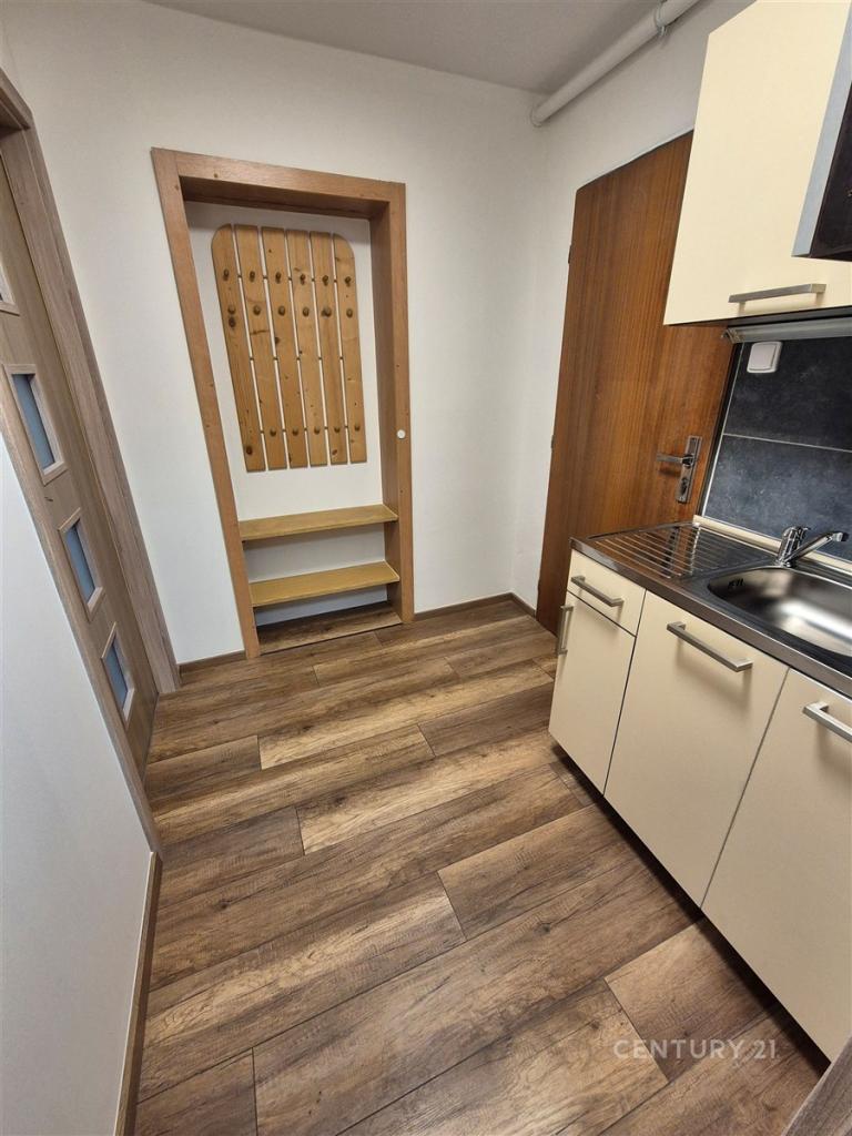 Pronájem bytu 1+kk 25 m2