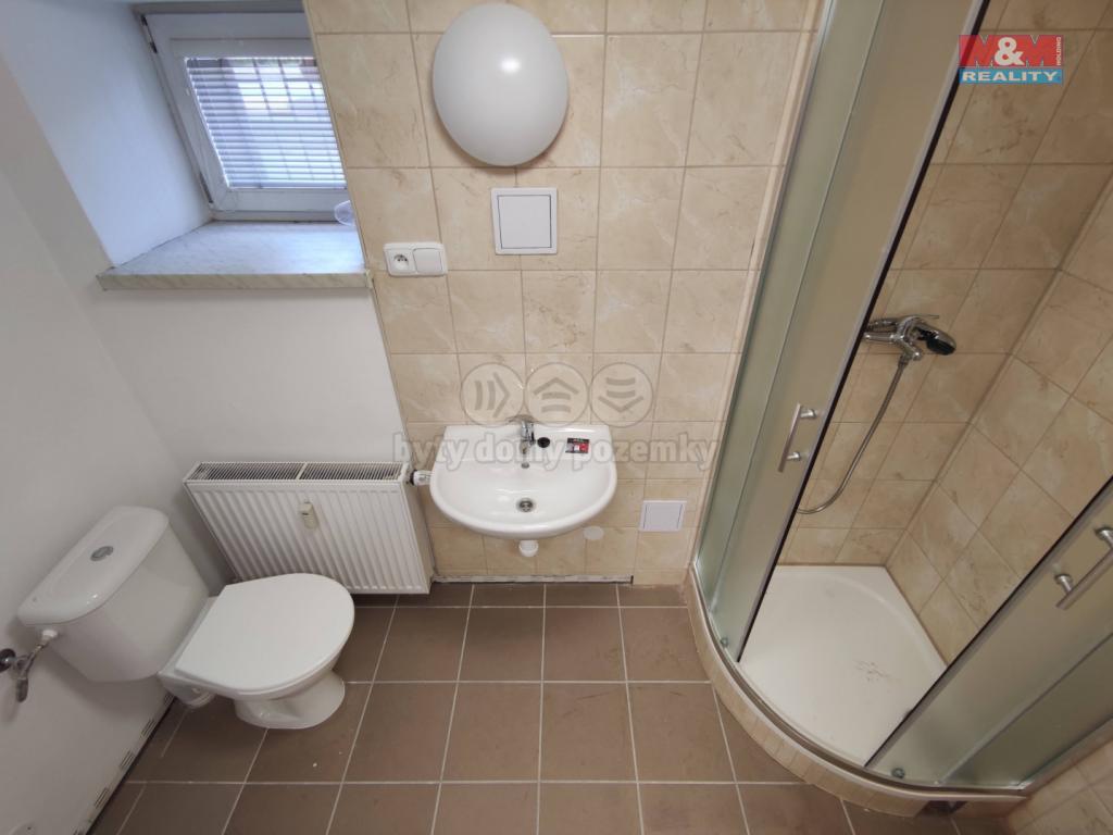 Pronajem bytu 1+1 40 m2