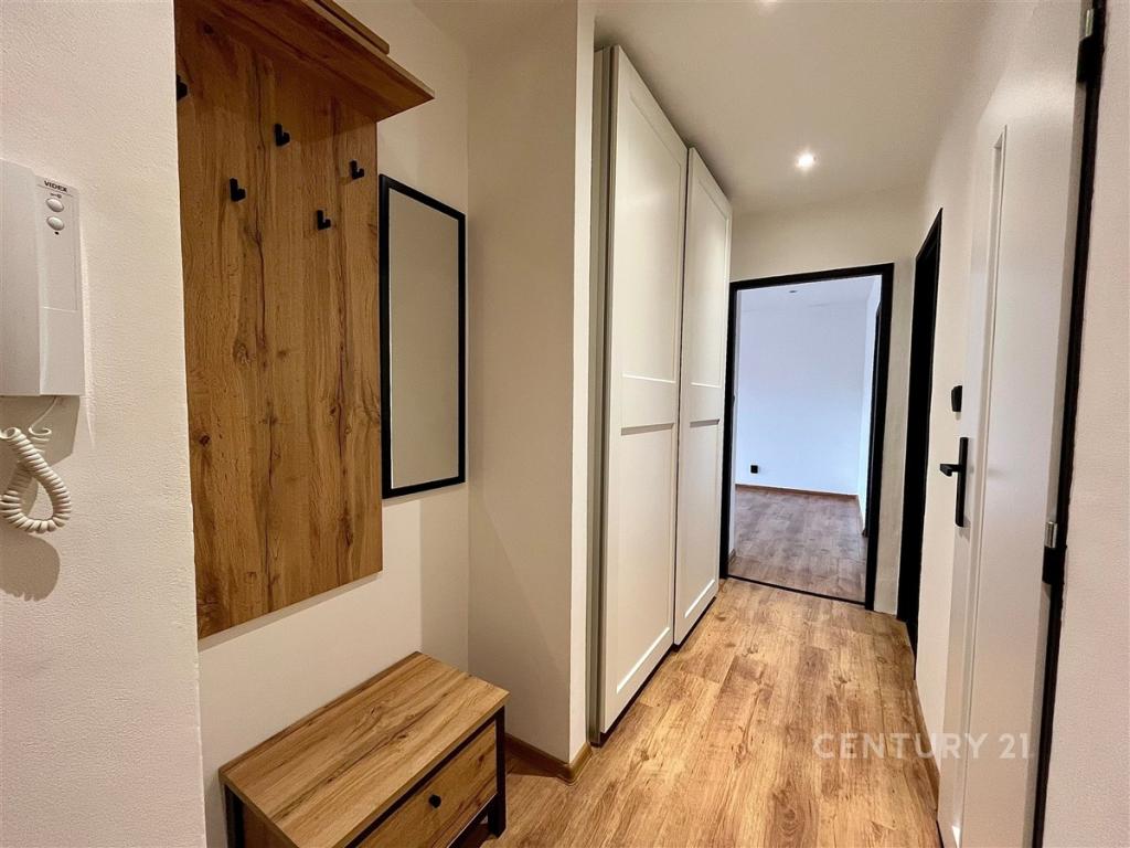 Pronájem bytu 2+1 50 m2