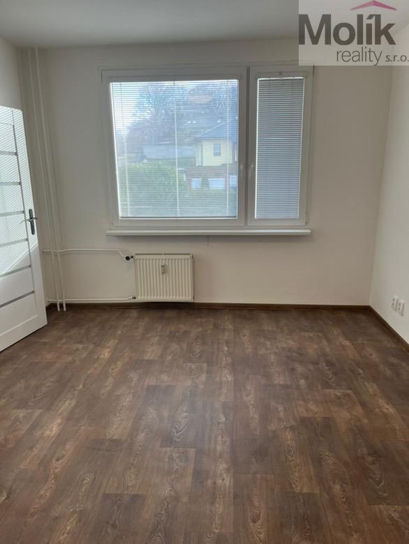 Pronájem bytu 1+1 39 m2