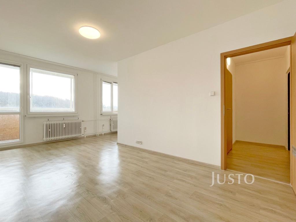 Pronájem bytu 1+1 39 m2