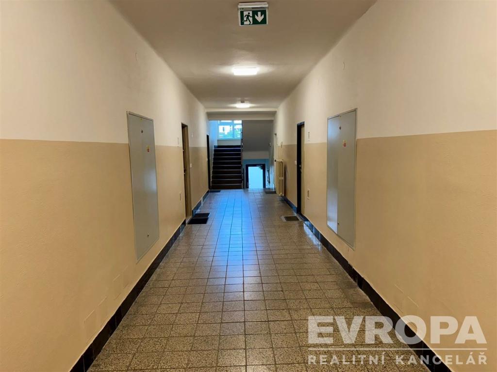 Pronájem bytu 1+1 30 m2, Plzeň – náhled fotky 16