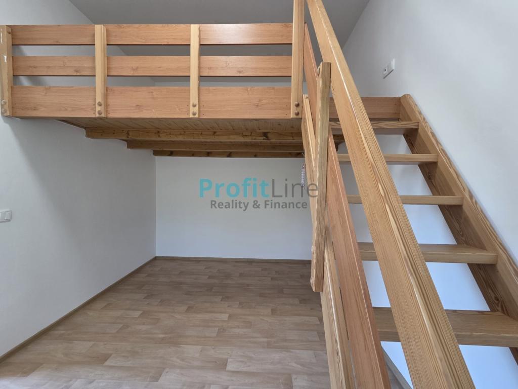 Pronájem bytu 1+kk 46 m2