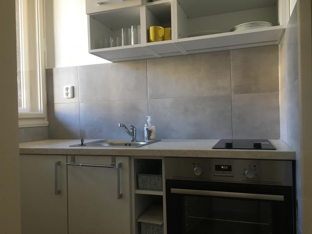 Pronajem bytu 2+1 60 m2
