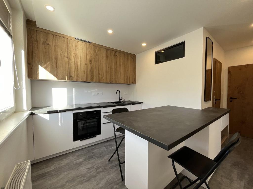 1-room apartment for rent · 33 m² · Brno — 689 €/mo