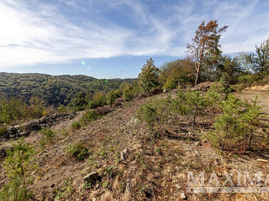 Prodej pozemku 7462 m2, Solenice – náhled fotky 8