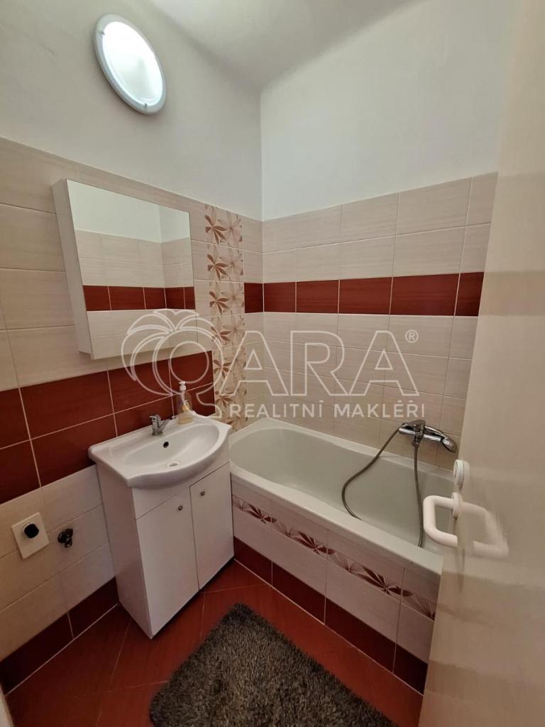 Pronájem bytu 1+1 39 m2