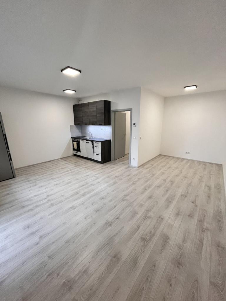 Pronájem bytu 1+kk 43 m2
