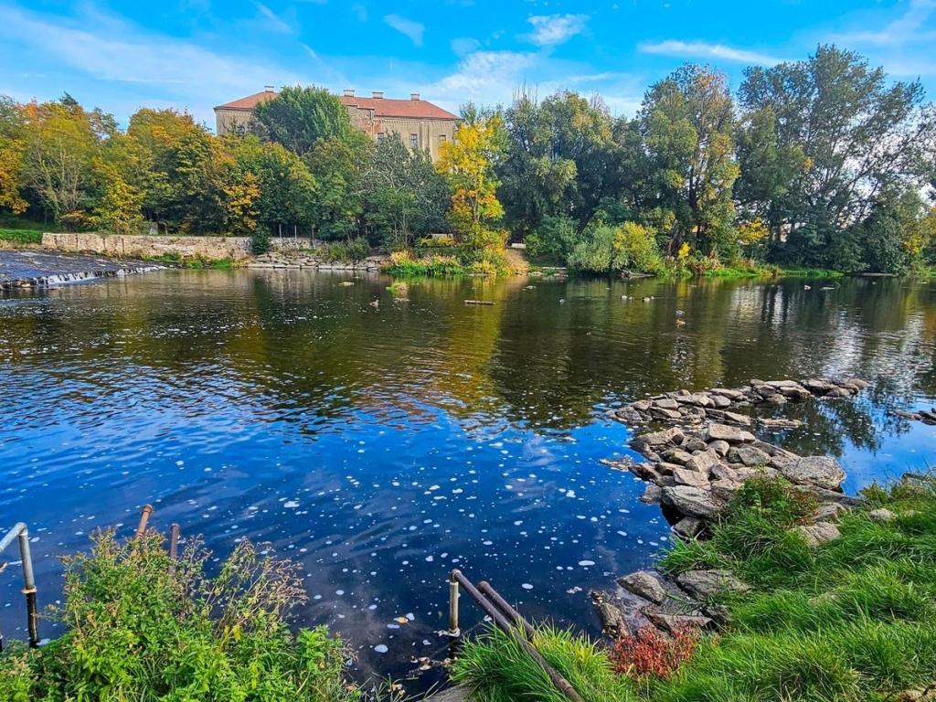 Prodej domu 54 m2, Nový Šaldorf-Sedlešovice – náhled fotky 19