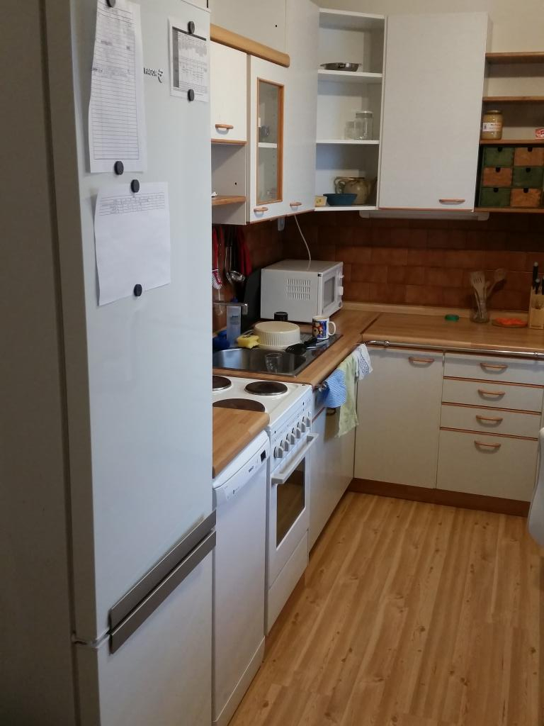 Spolubydleni bytu celý pokoj 15 m2