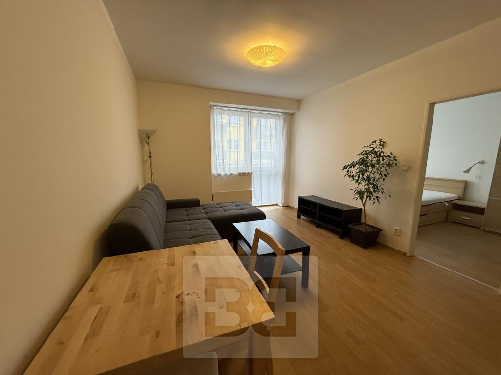 Pronájem bytu 2+kk 39 m² - Widok 3