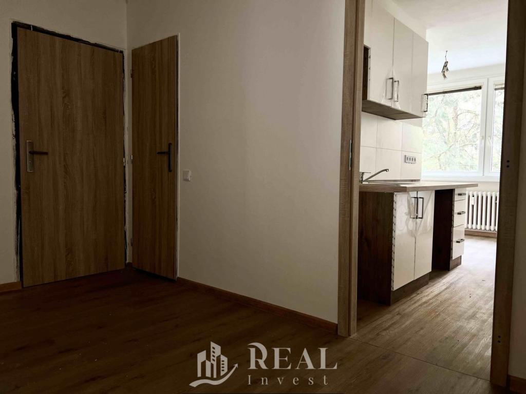 Pronájem bytu 1+1 42 m2