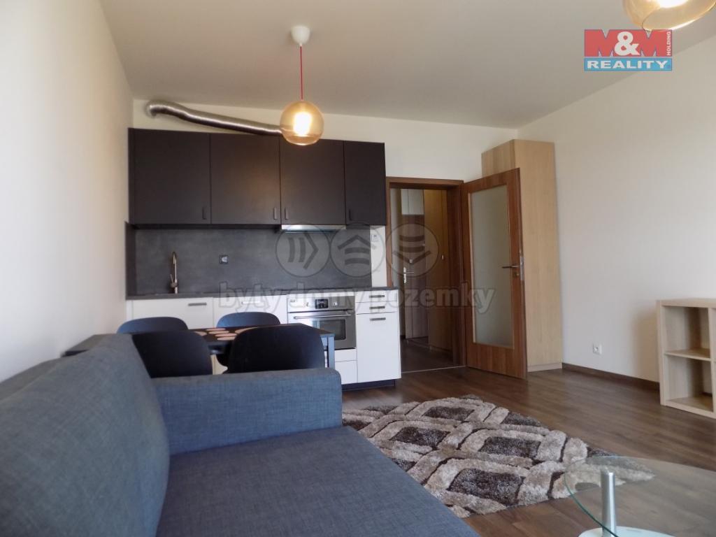 Pronajem bytu 1+kk 42 m2