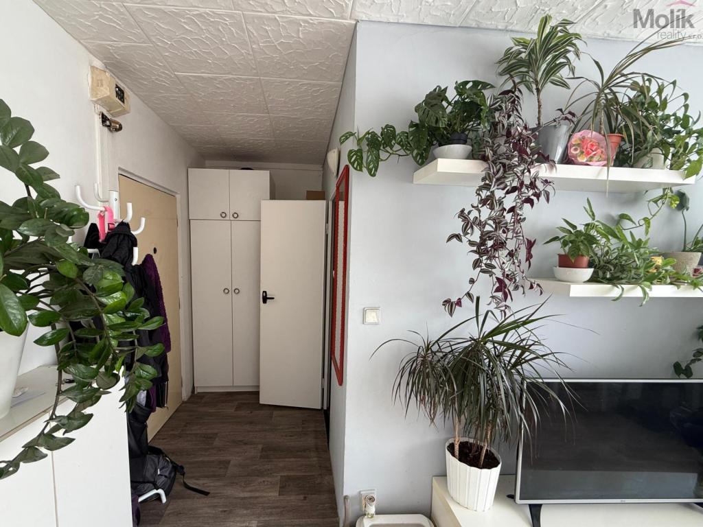 Pronájem bytu 1+1 26 m2, Most – náhled fotky 5