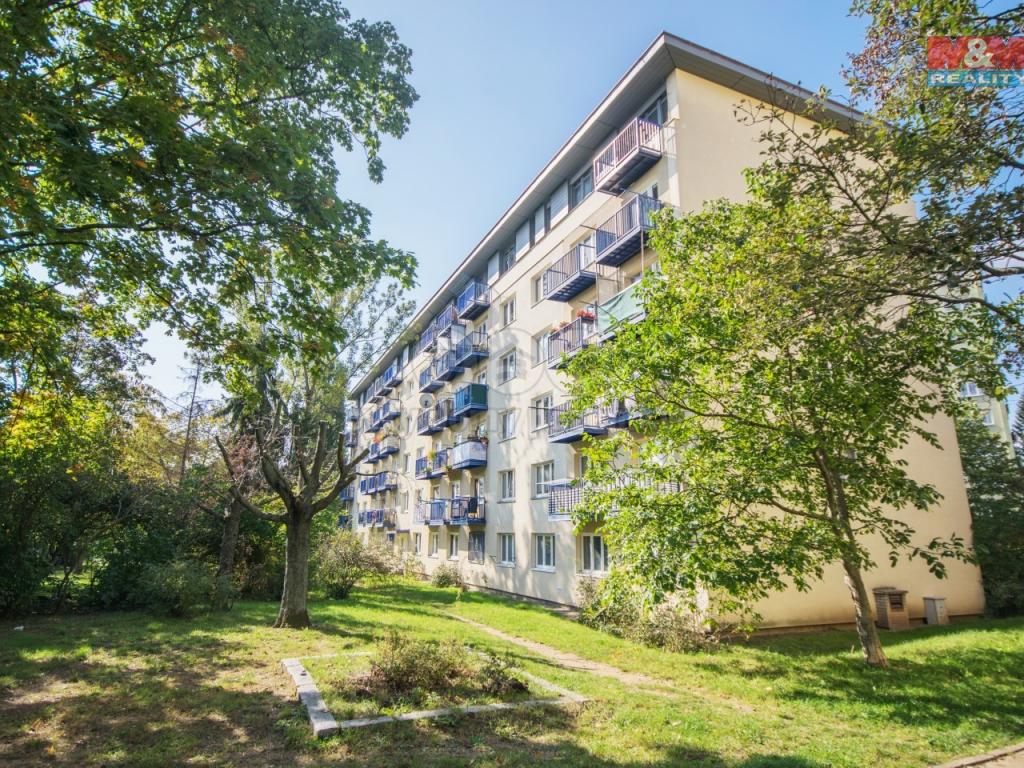 Pronajem bytu 2+1 55 m2